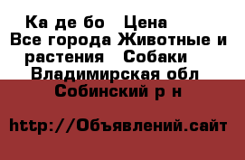 Ка де бо › Цена ­ 25 - Все города Животные и растения » Собаки   . Владимирская обл.,Собинский р-н